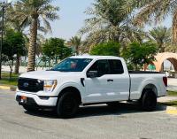 Ford
              F